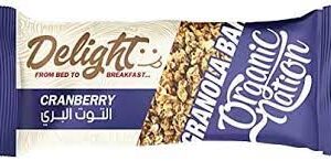 جرانولا بار - التوت البري اورجانيك نيشن