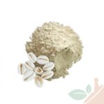 ودعة مطحونة مغربية 100جرام